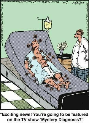 Humorous Cartoons