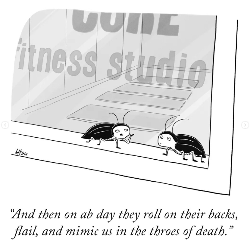 One-Panel Cartoons