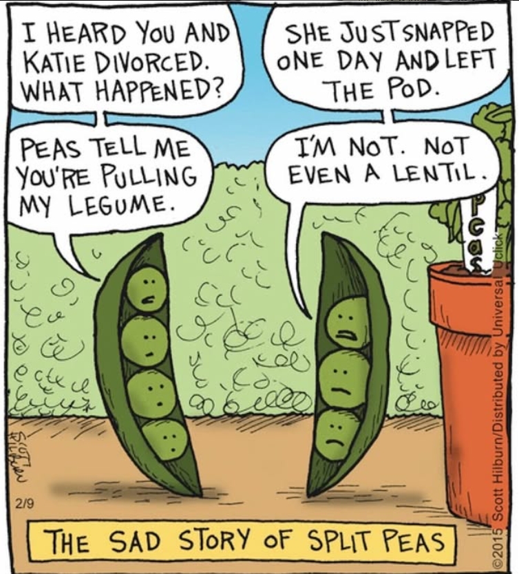 Single Panel Humor