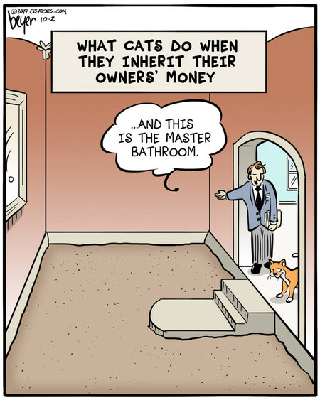 Absurdist Humor
