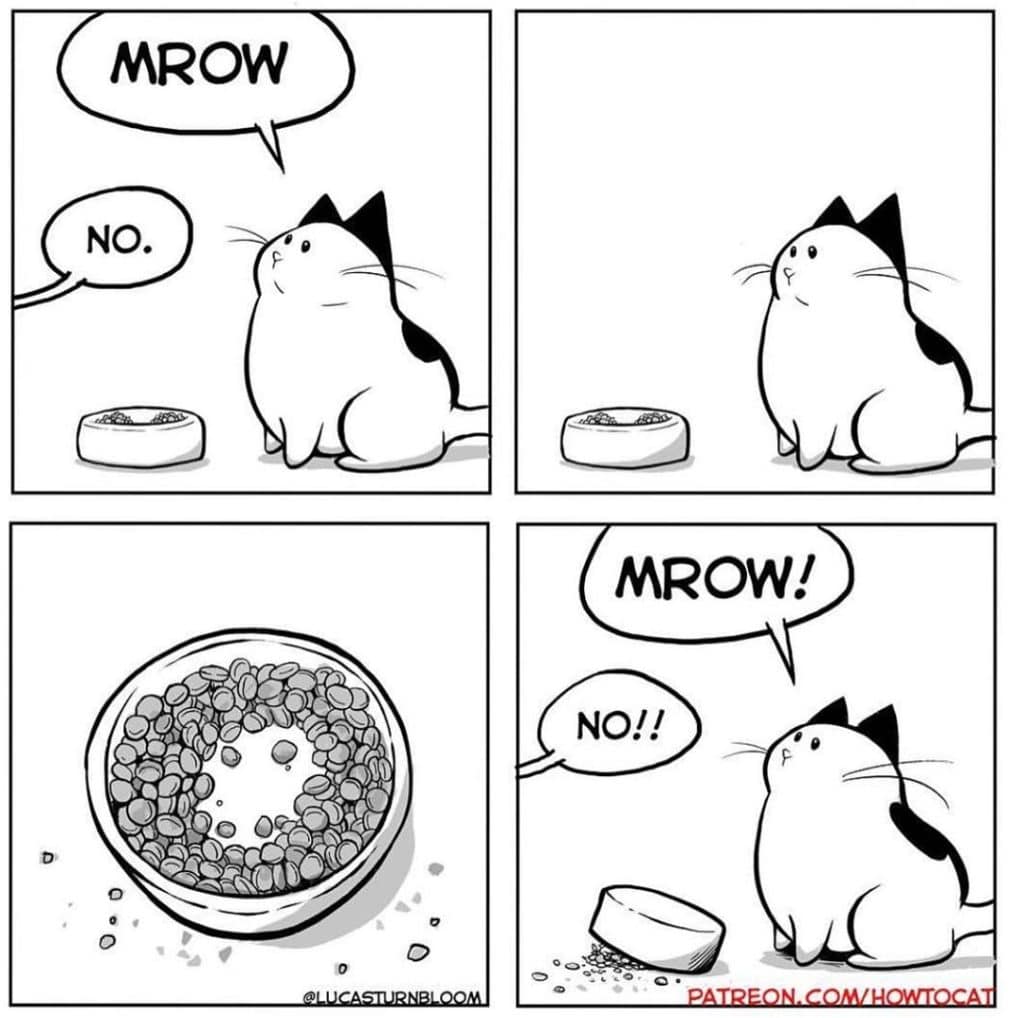 20 Comics Illustrating the Funny Life of a Kitten Who Found a New Home