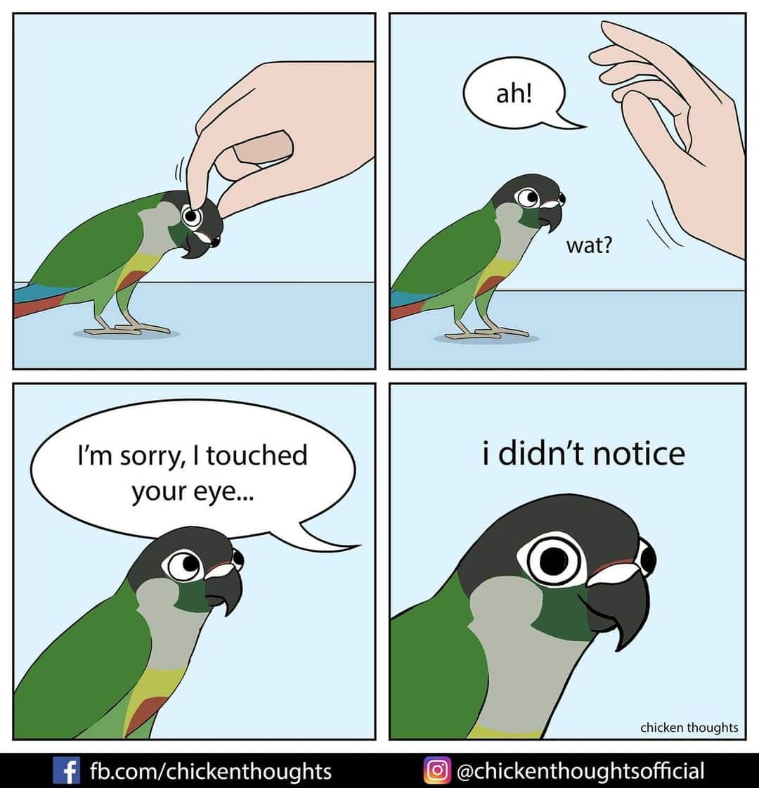 25 Funniest New comics about parrots, illustrated by the owner of the ...