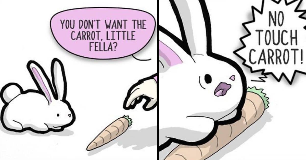 20 Hilarious Comics That Show The Dark Side Of The Animal Kingdom ...