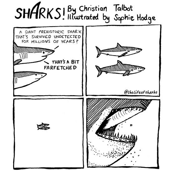 25 Times This Artist Beautifully illustrates about Shark's Life in a ...
