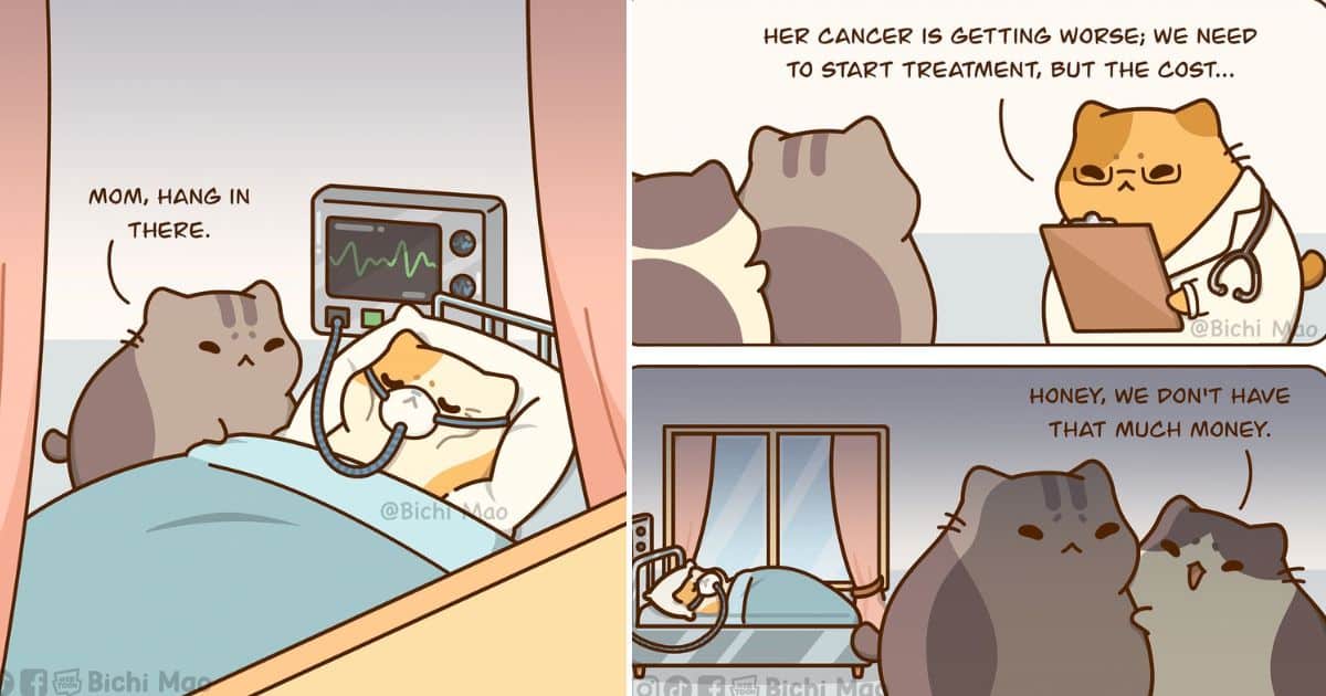 Here is an adorable comic story based on love Using Cat Characters (27 Drawings)