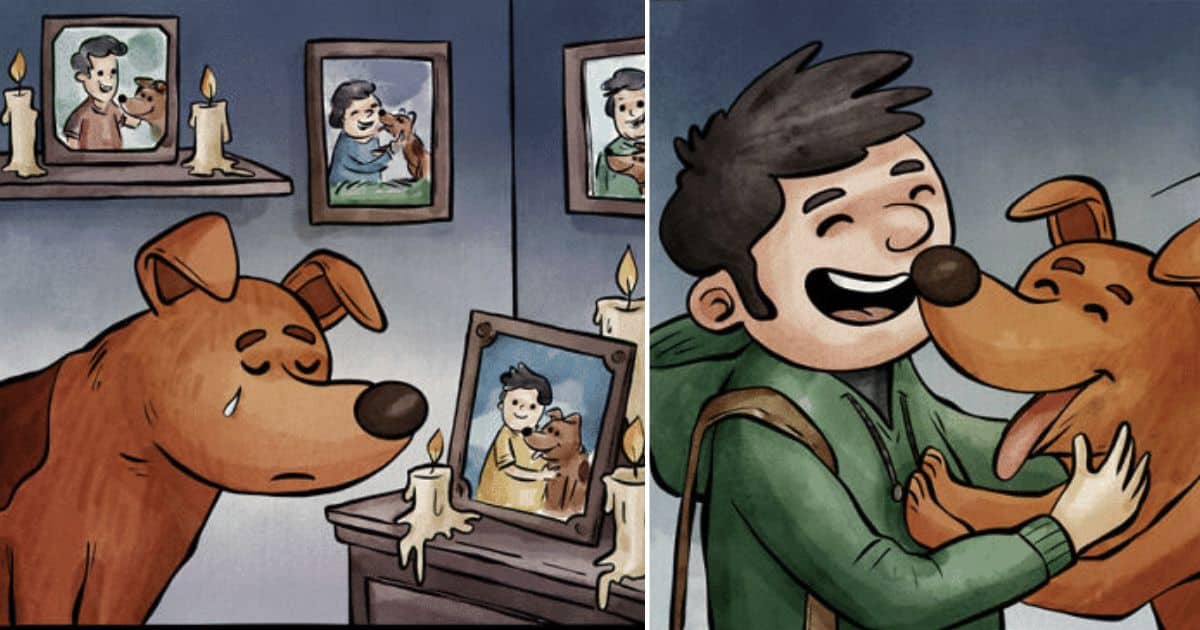 20 Animal Comics by Cartoonist Salih Gonenli Show Heartwarming Moments