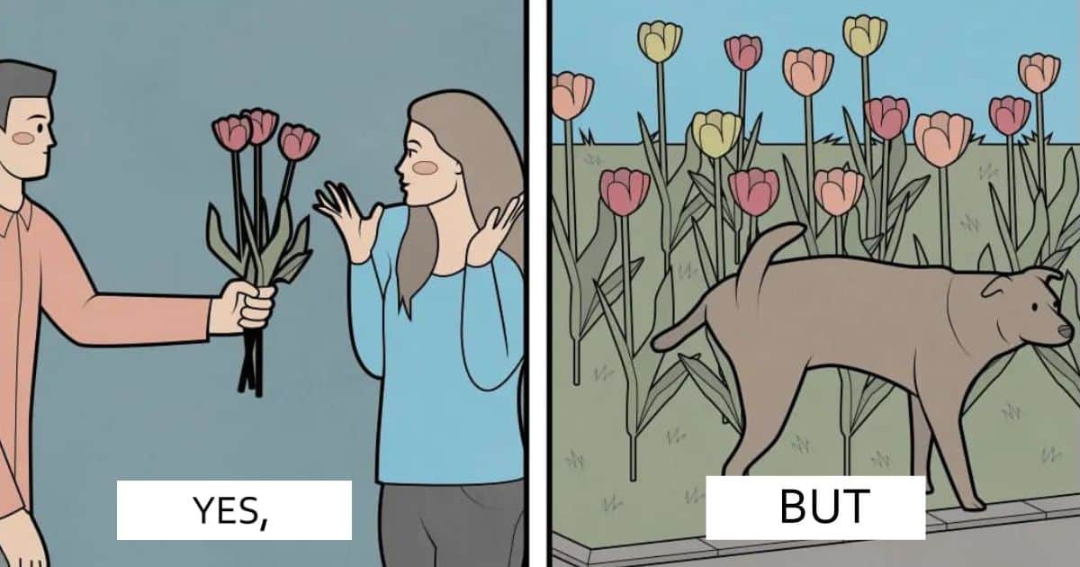 20 Yes, But Illustrations Show the Contradictions of Modern Life