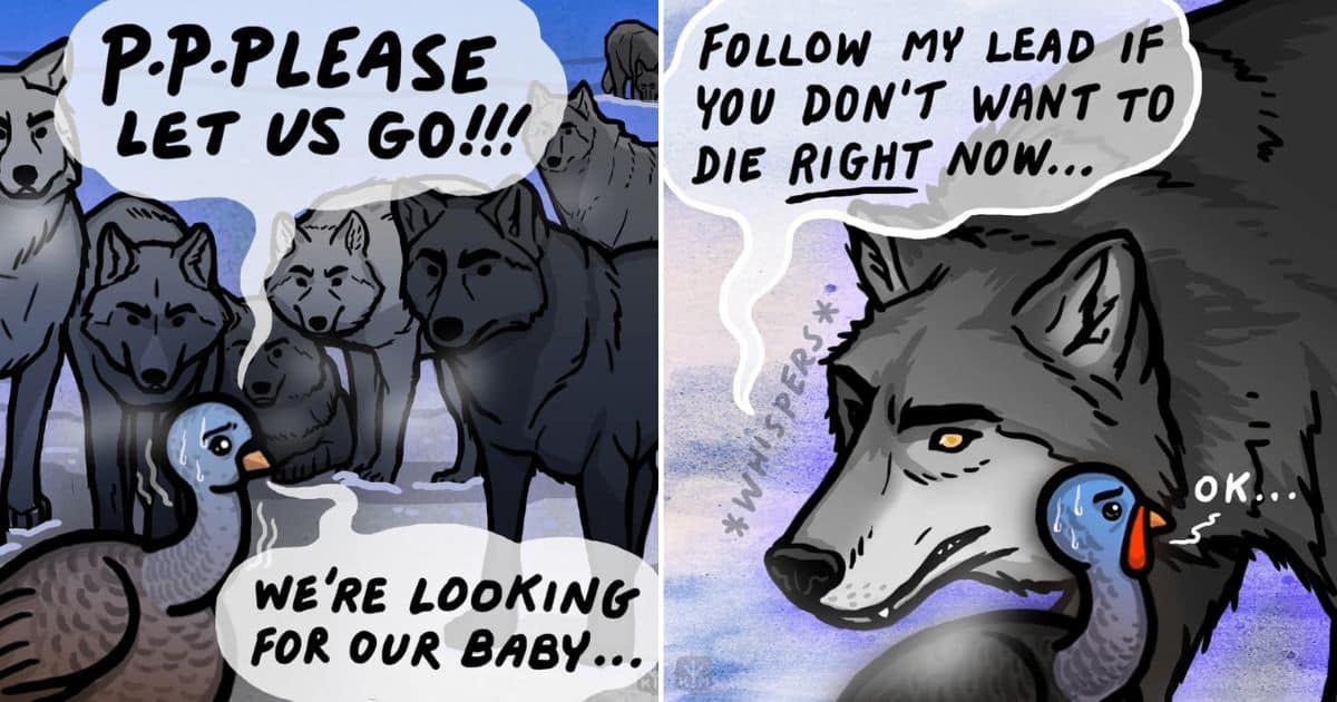 Here is an Adorable Comic Story Based on How Turkey Met Wolf (38 Drawings)