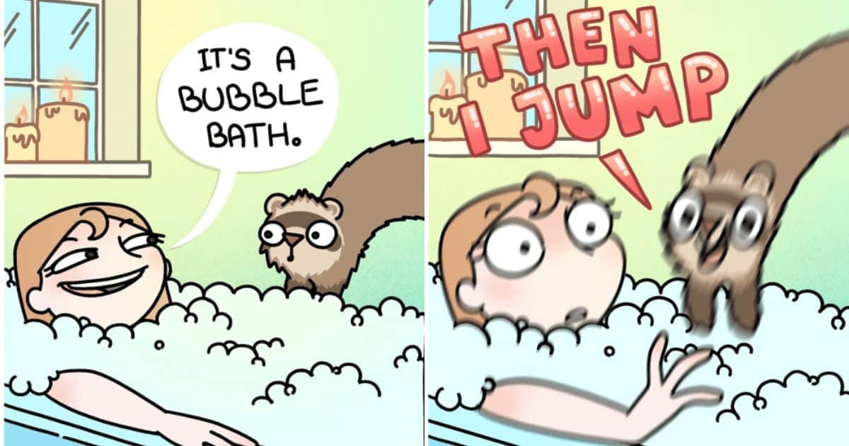 20 Siberian Lizard Comics Shares Her Everyday Life with Her Two Ferrets