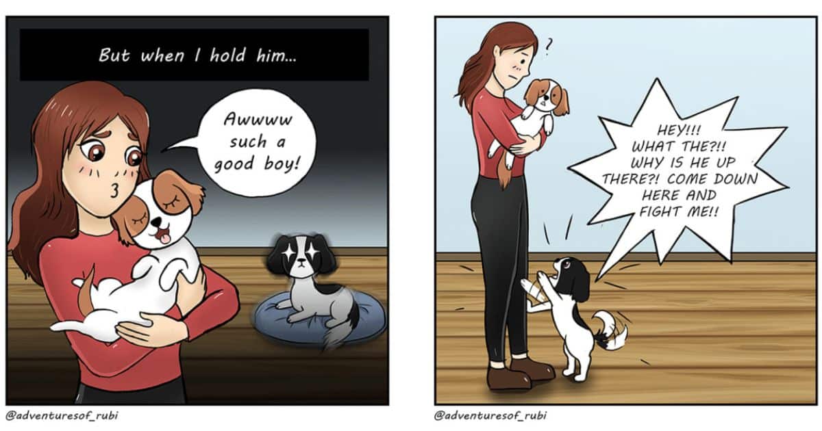 Cartoonist Rubi Shows Her Experiences With Her Dogs (20 Comics)