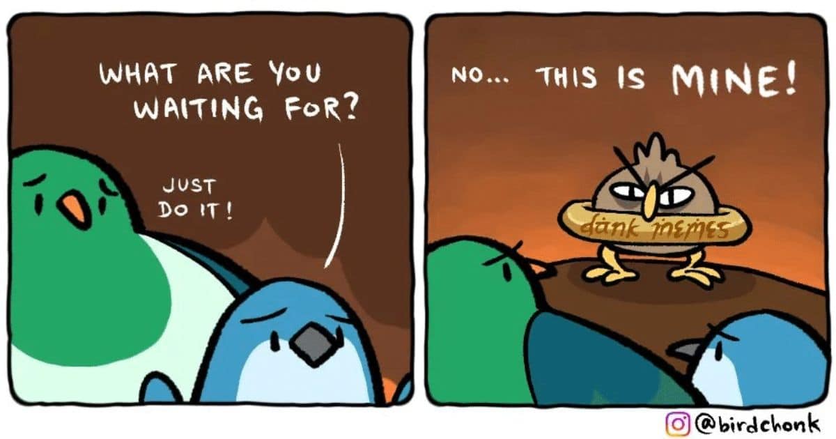 20 Bird Chonk Comics Based on What’s Going On in the Daily Life of Birds