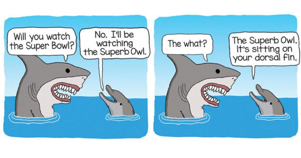 15+ Times Captain Scratchy use Animals in his Comics to make people laugh