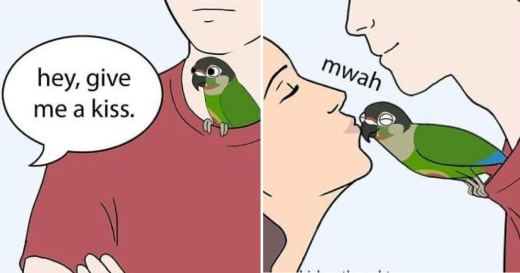 15+ Times Chicken Thoughts Makes Hilarious Comics About Birds That will Surely Make Your Day
