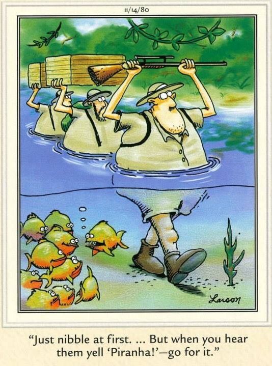 daily humor comics