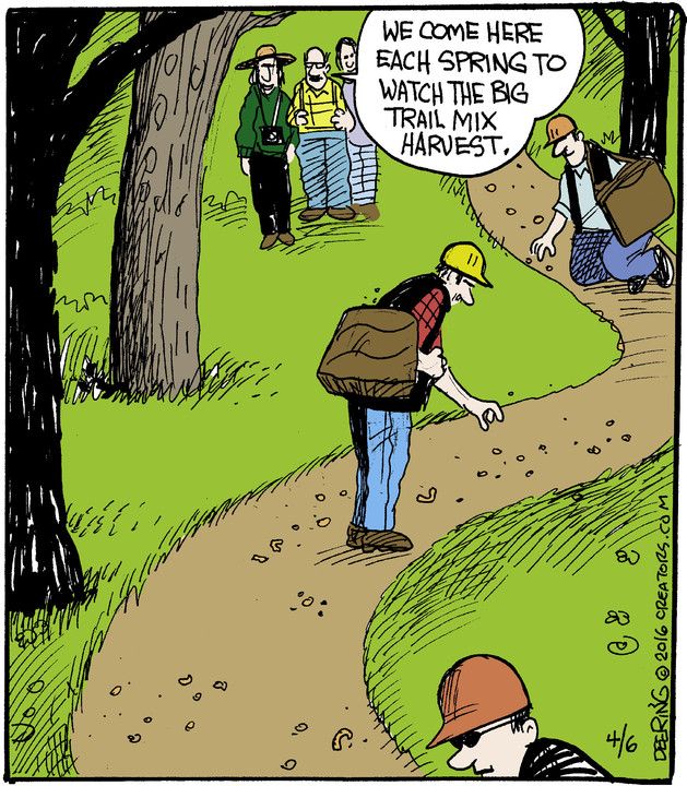 New Funny Comics