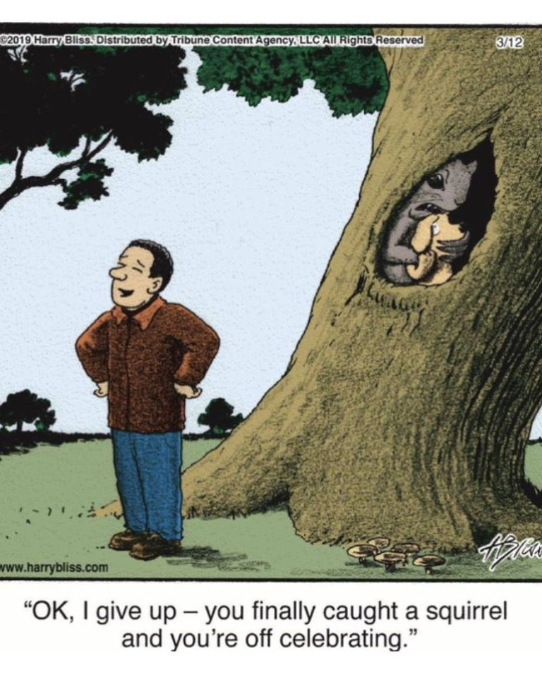 Dogs Comics