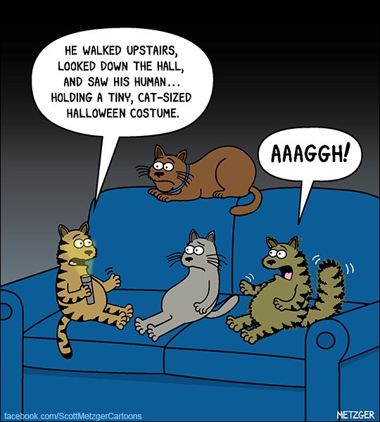 Funny Cat Cartoons