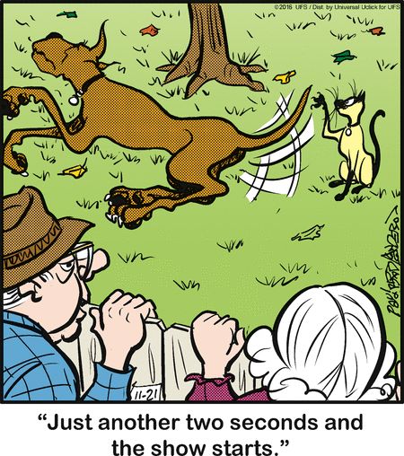 Dog Comics