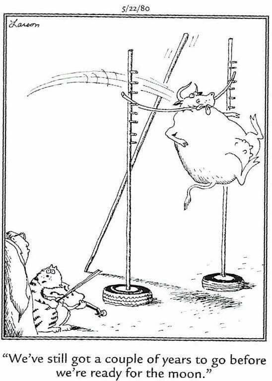 daily humor comics