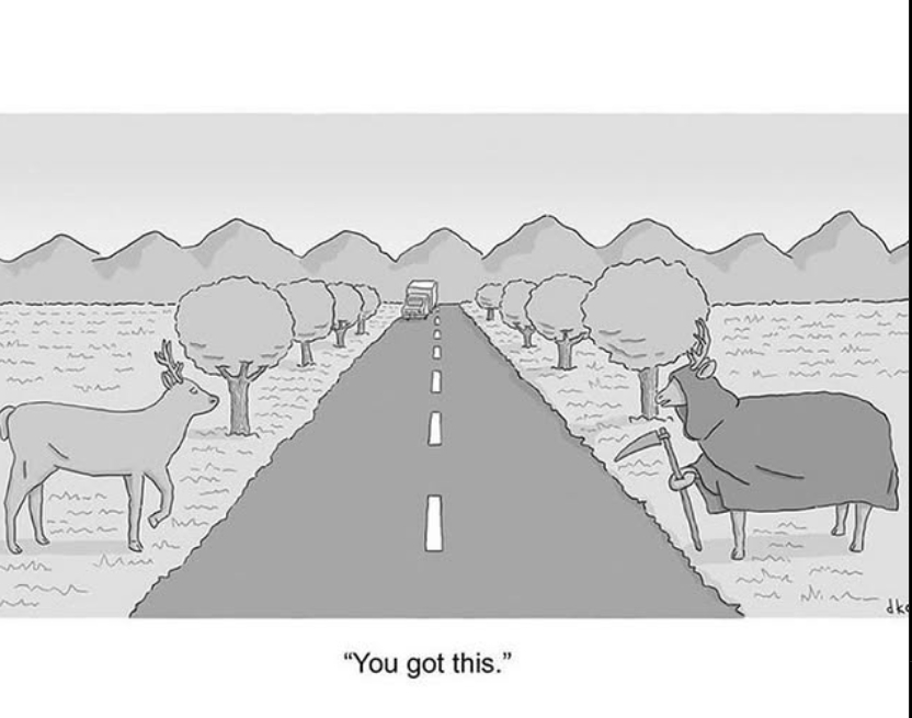 Best Humor Cartoons