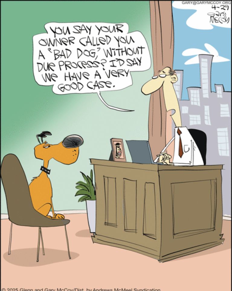 Absurd Comics