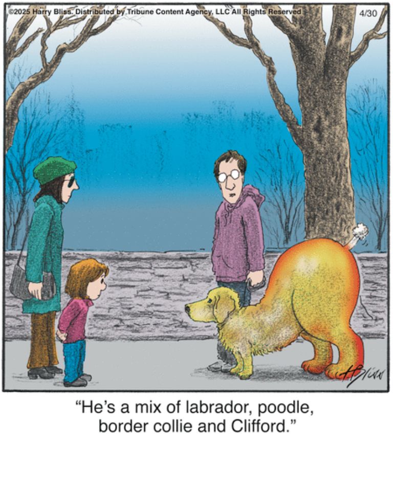 Dogs Comics