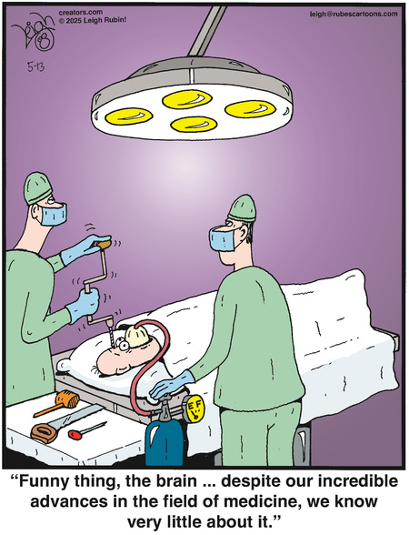Daily Humor Comics