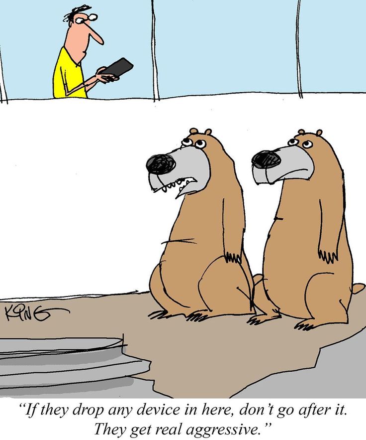 Everyday Life Humor