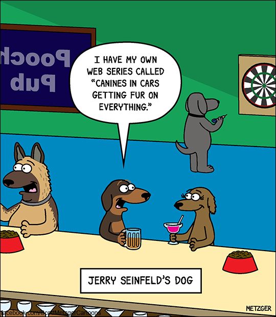 Funny Cat Cartoons
