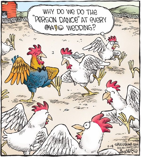 Witty Comics Humor