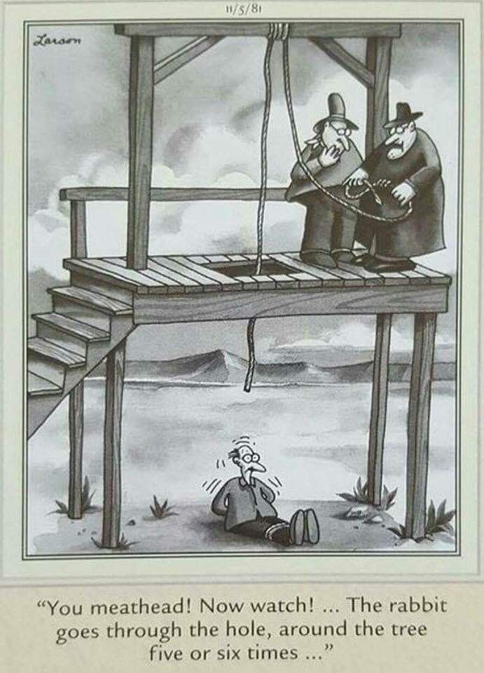 daily humor comics