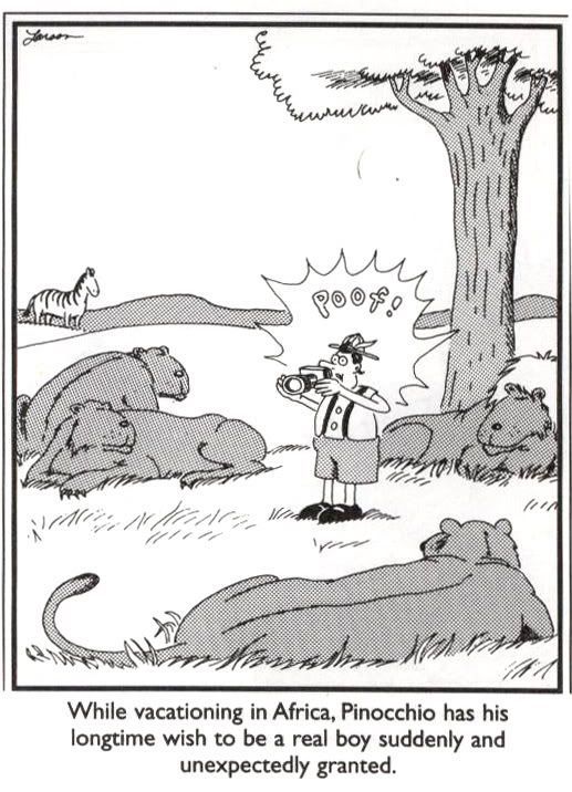 daily humor comics