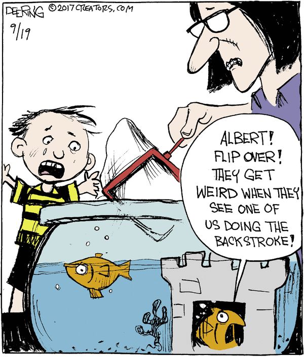 New Funny Comics