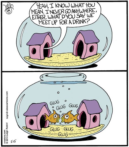 Daily Humor Comics