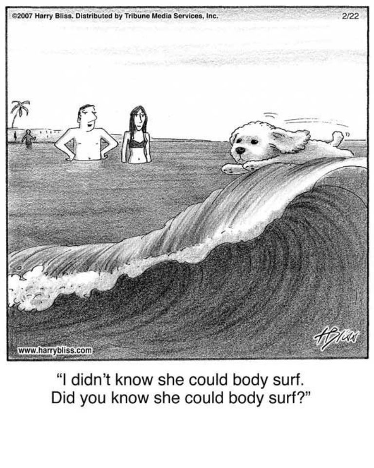 Dogs Comics
