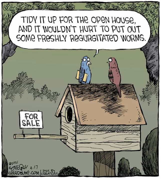 Funny Comics