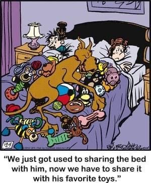 Dog Comics