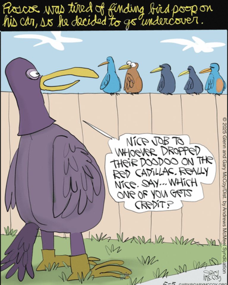 Absurd Comics
