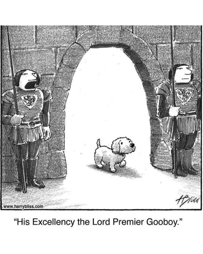 Dogs Comics
