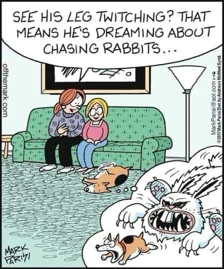 Daily Dose of Humor