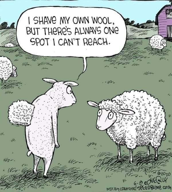 Witty Comics Humor