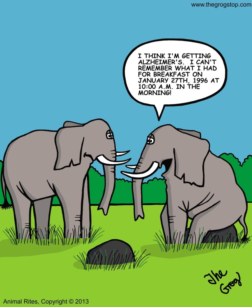 Dark Humor Jokes