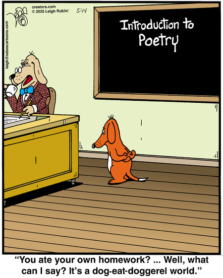 Daily Humor Comics