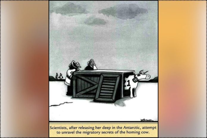 Best Far Side Comics