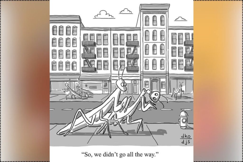 Best Humor Cartoons