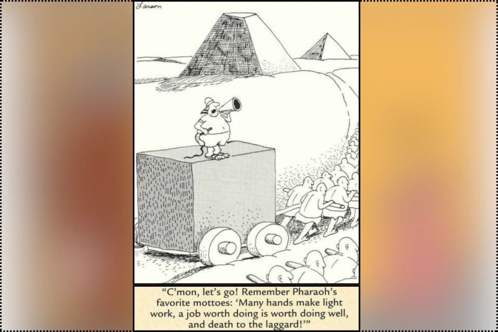 Daily Humor Comics