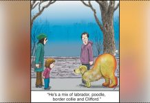 Dogs Comics