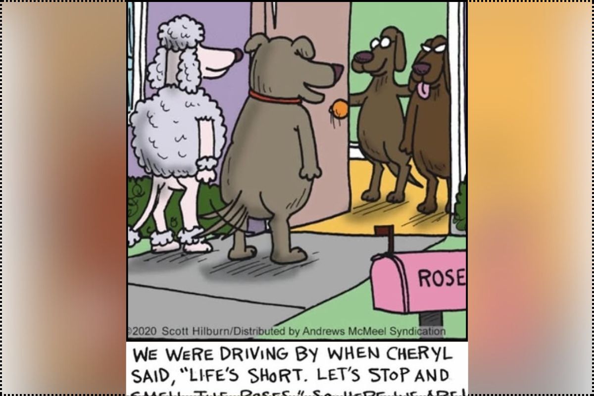 Single Panel Humor