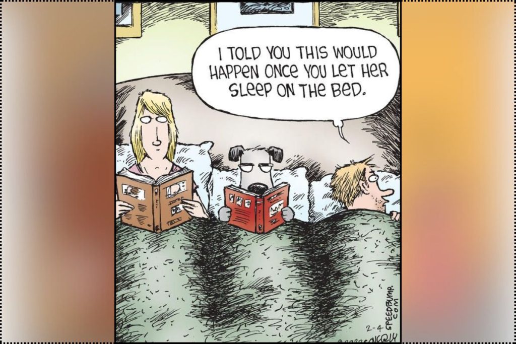 Speed Bump Comics