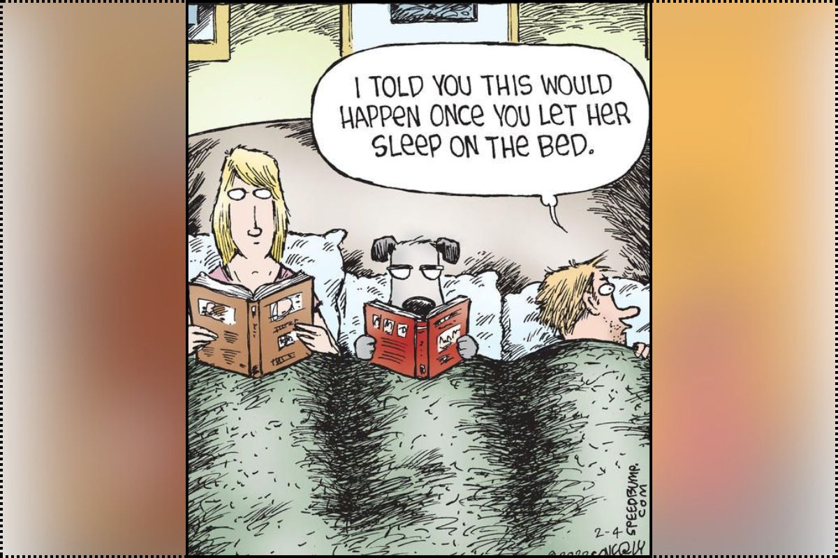 Speed Bump Comics